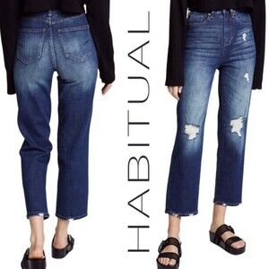 NWT Habitual, Haven Super High Rise Straight Jeans